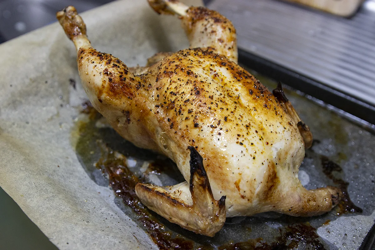 chicken.jpg
