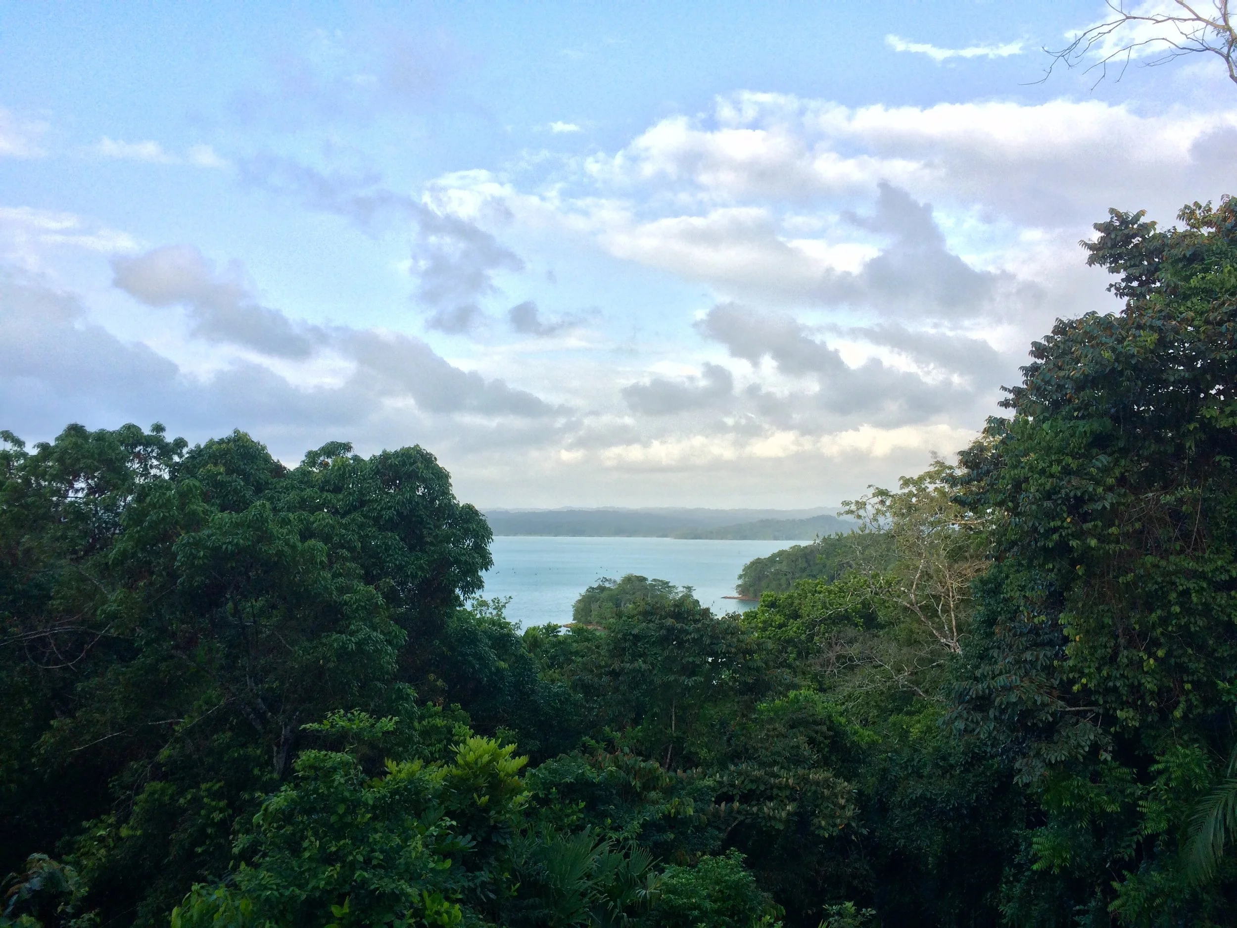 Secrets of the Rainforest