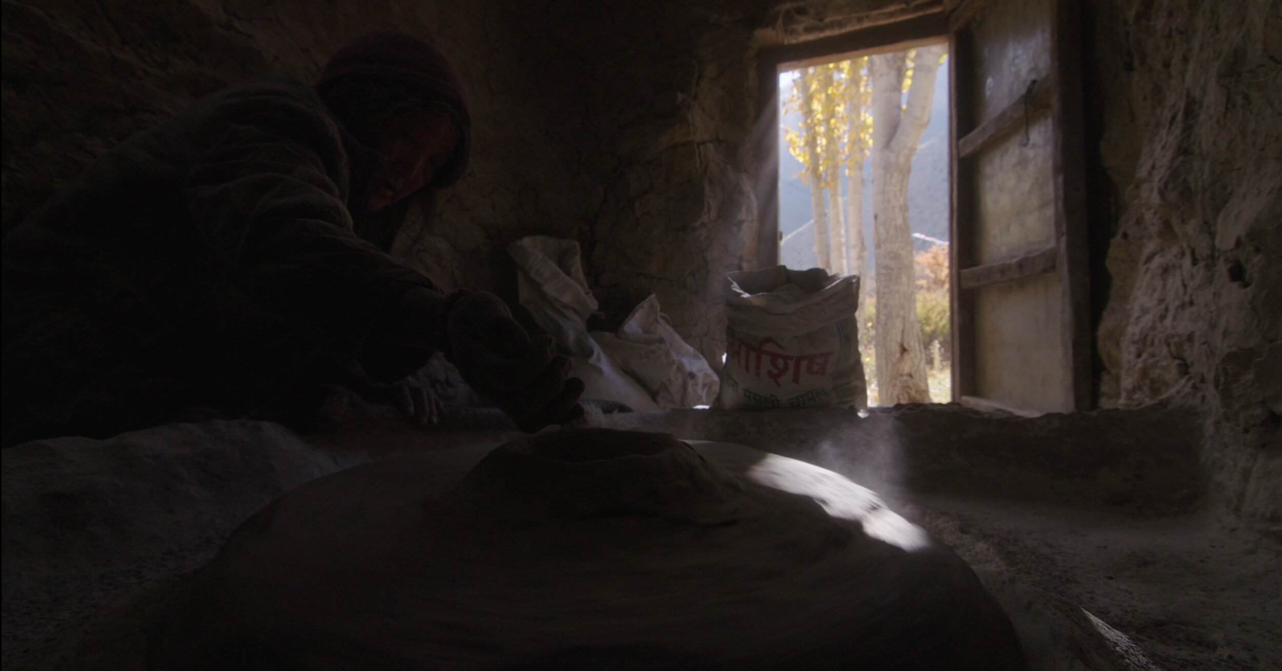 Screen Shot 2019-11-19 at 7.36.06 AM.jpeg