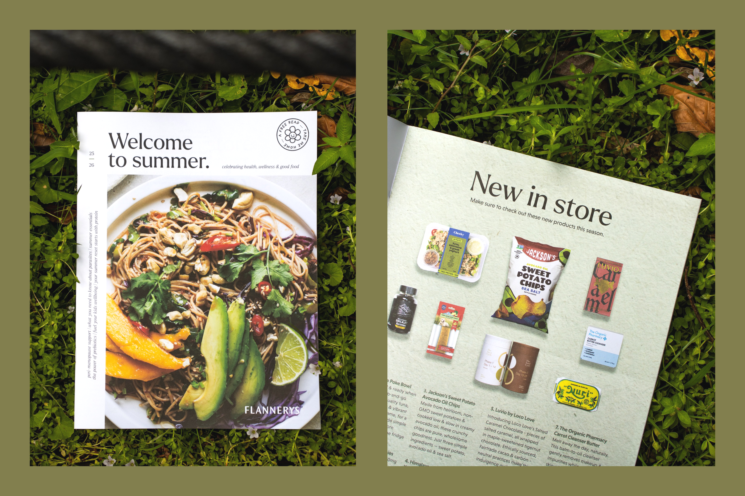 Seasonal Magazine Design for TNGC