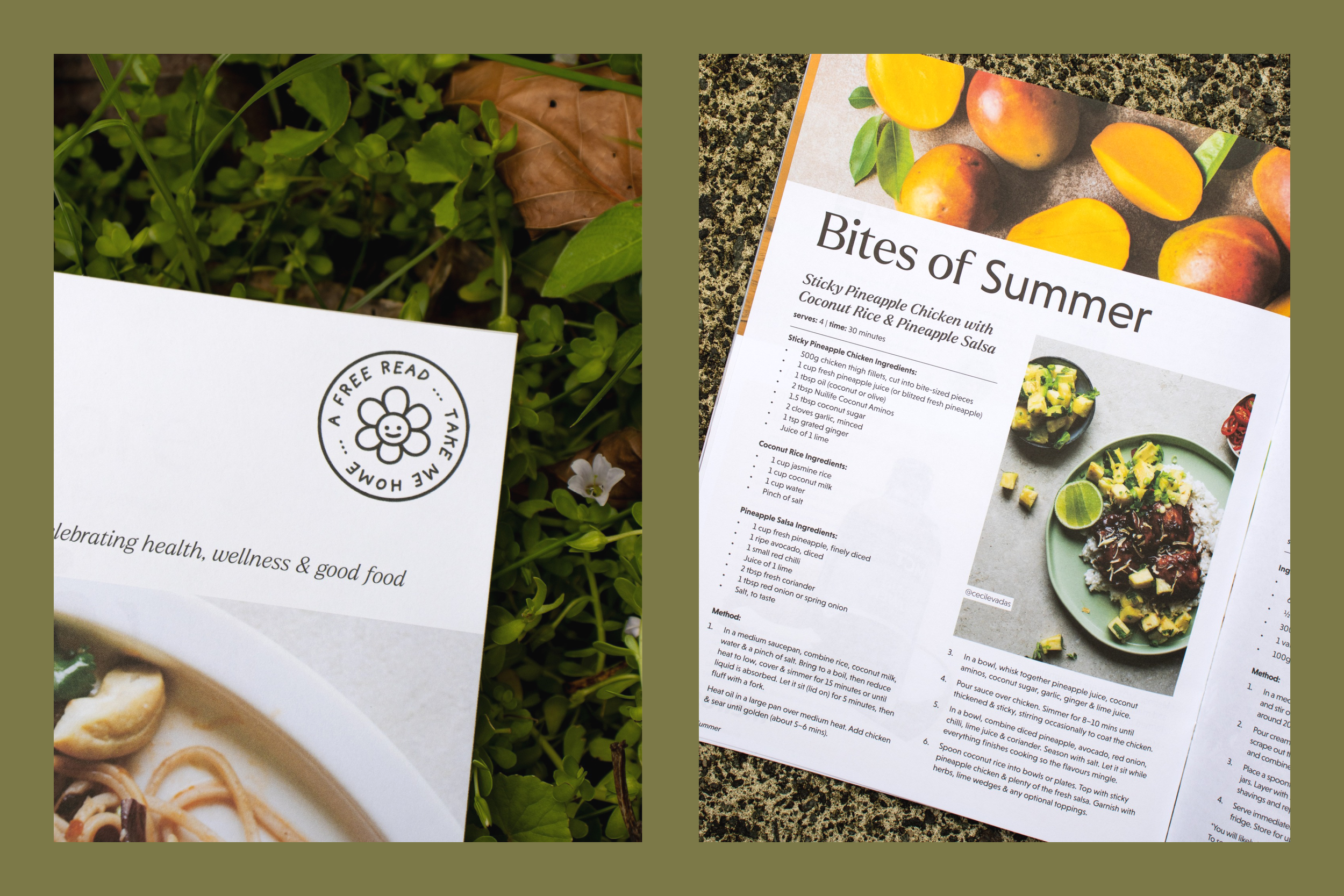 Seasonal Magazine Design for TNGC