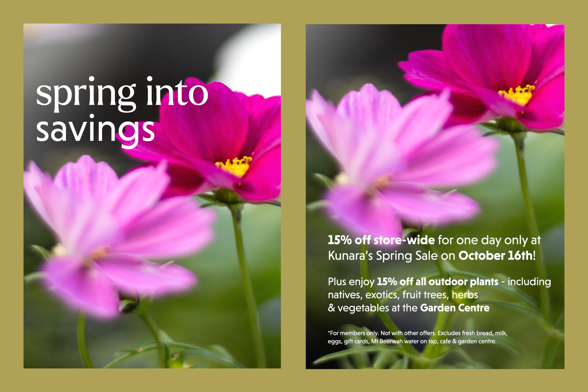 Kunara ‘Spring into Savings’ Campaign Assets