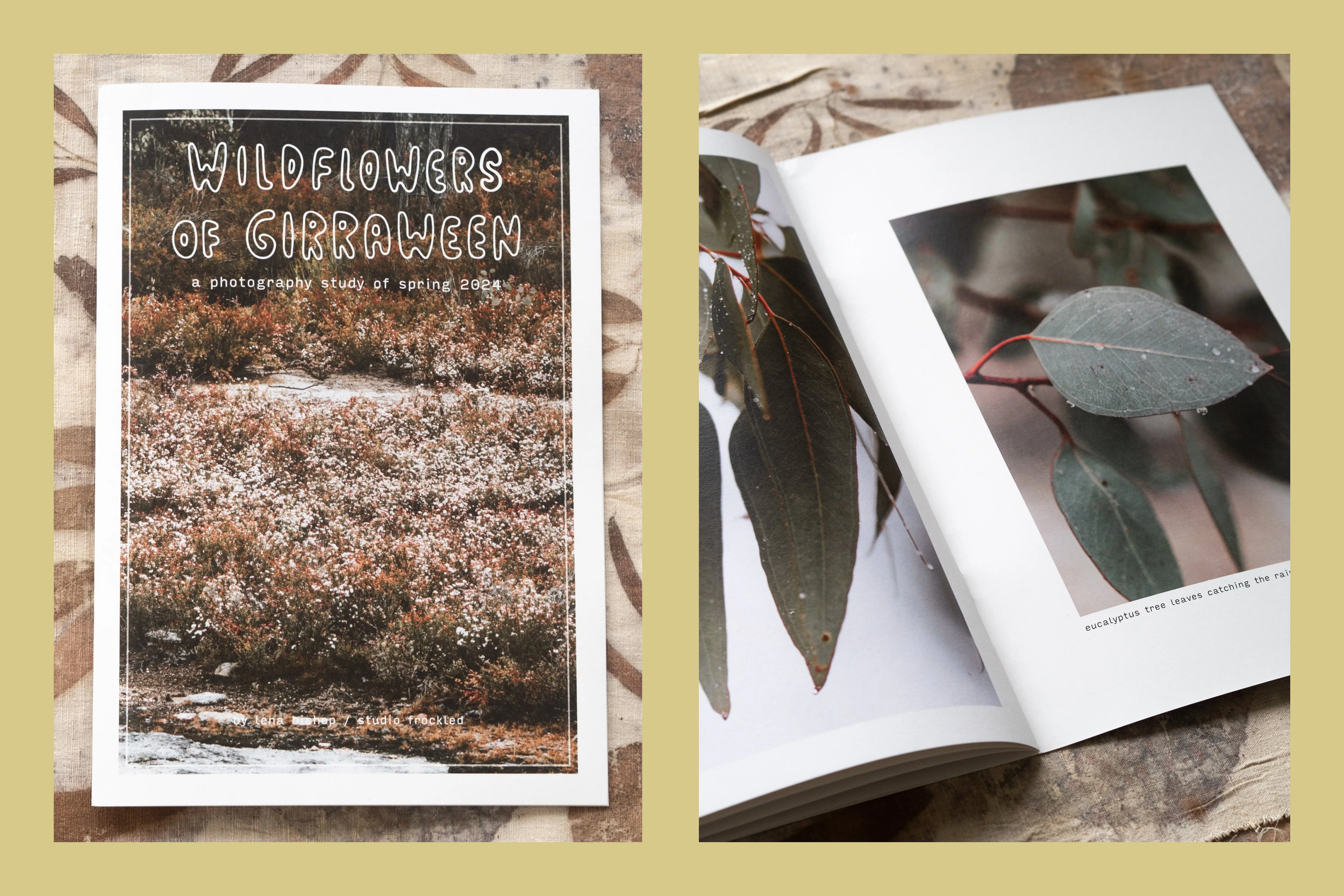 Wildflowers of Girraween – Photography Project & Book