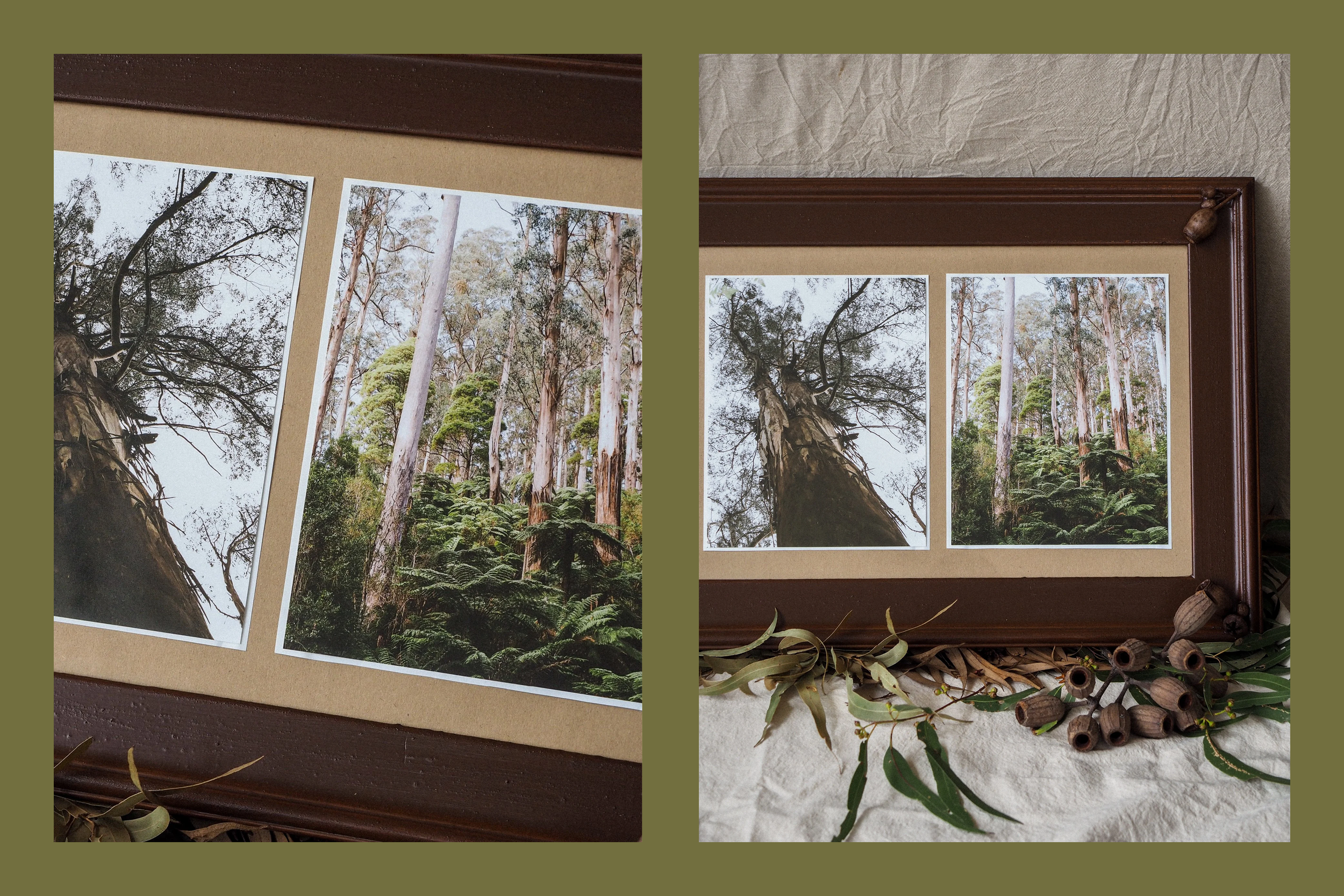 Eucalyptus - Multi-Disciplinary Art Series & Exhibition