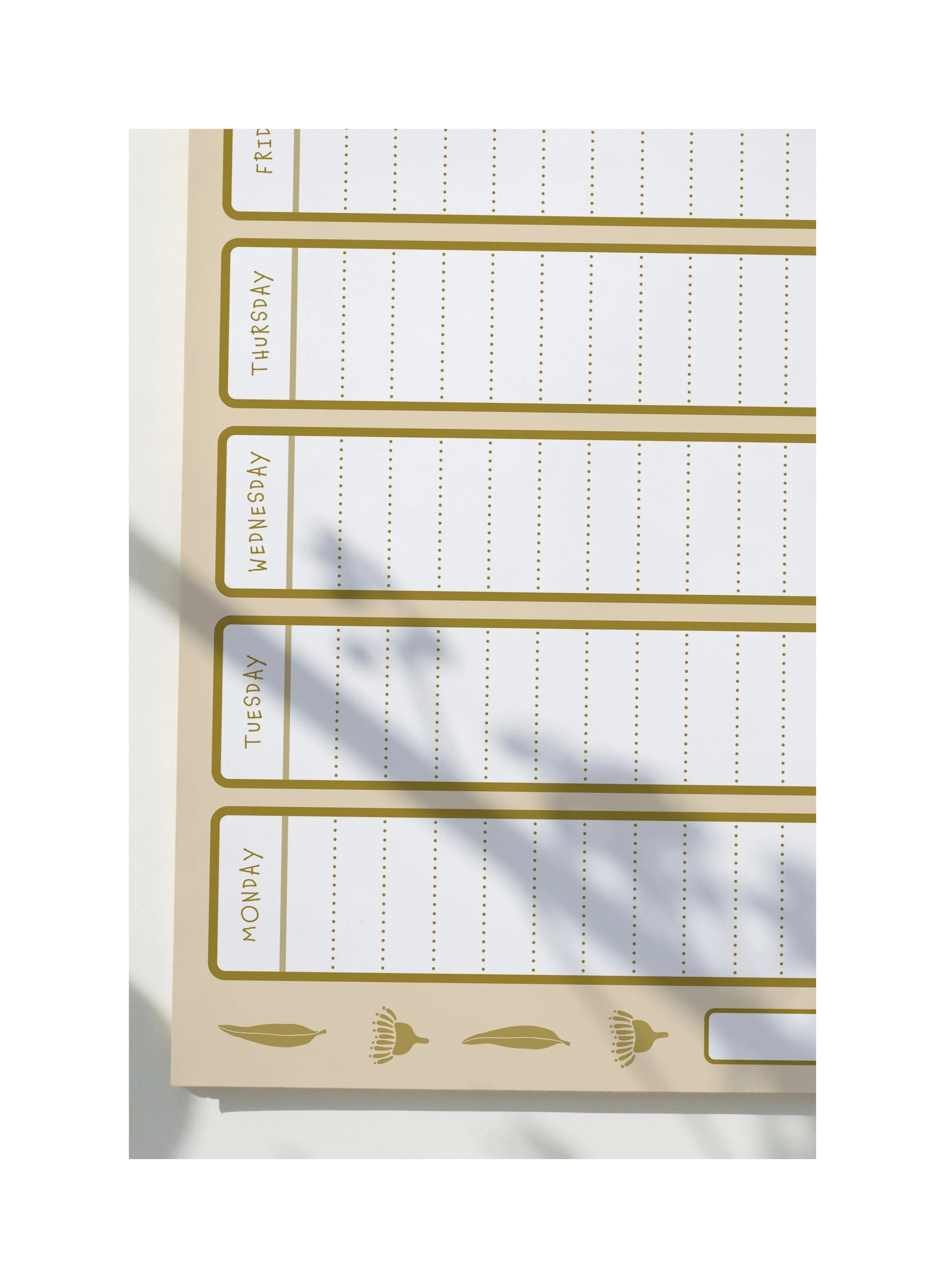 AfterlightImage 6.JPG