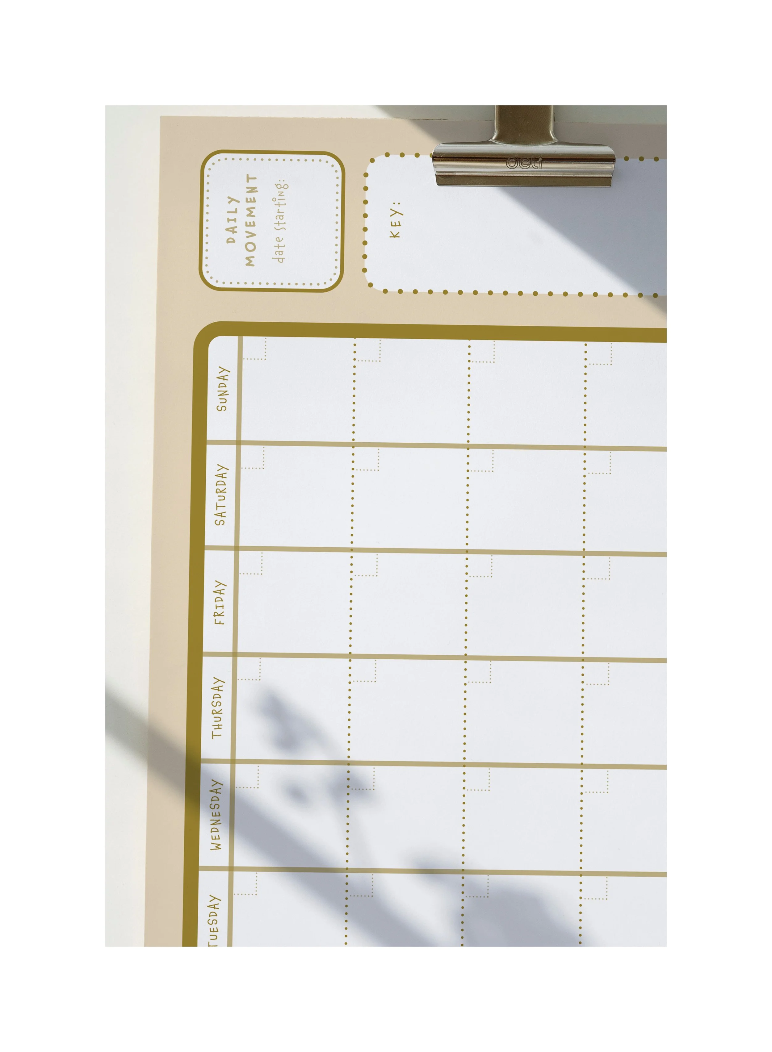 AfterlightImage 13.JPG