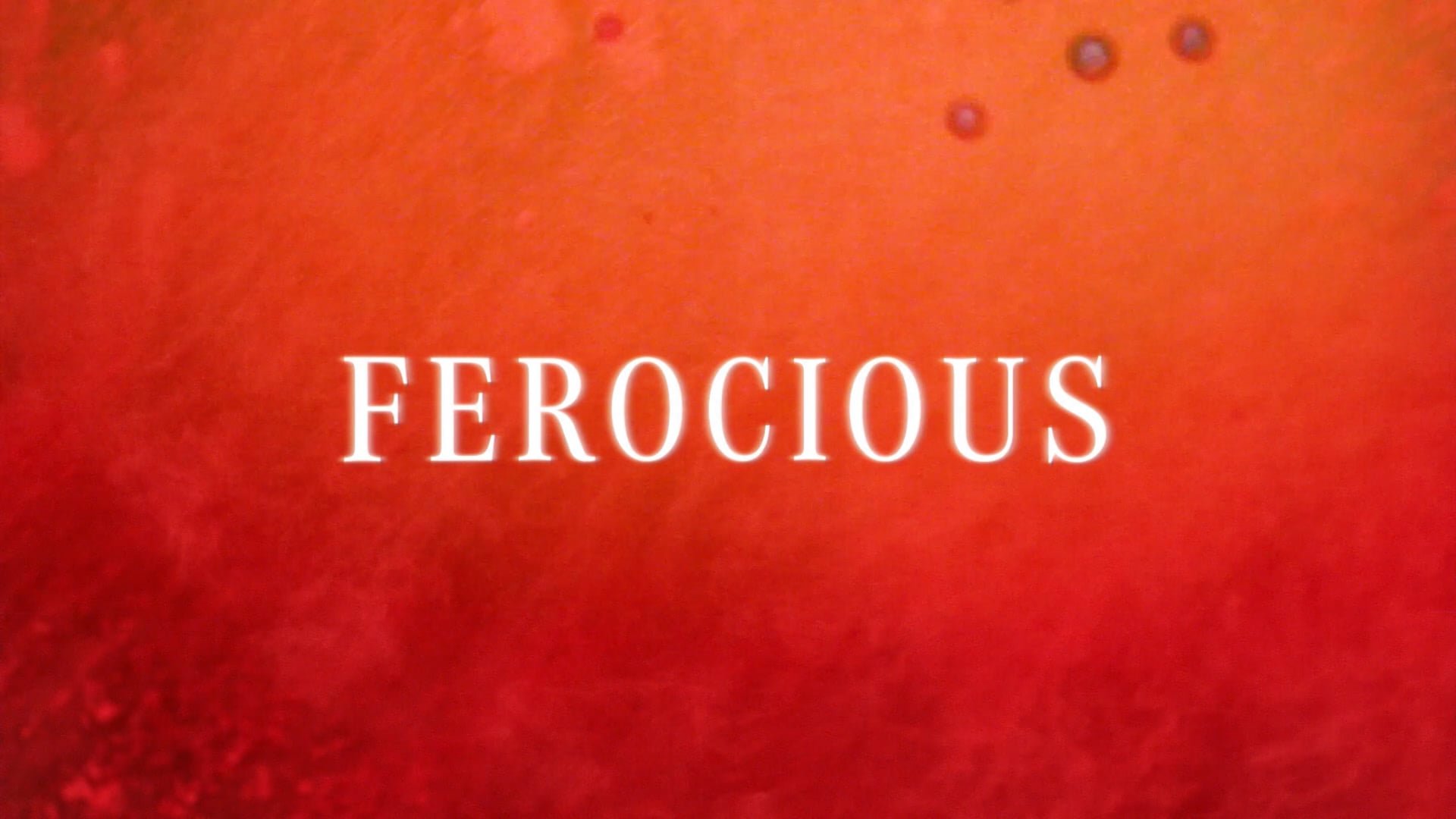 Mercedes-AMG “Ferocious” :30