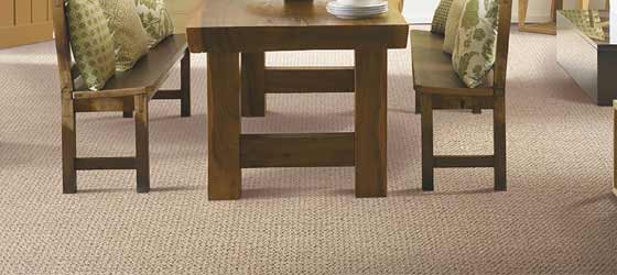 Carpet