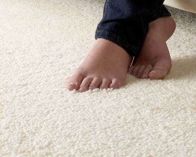 carpet.png