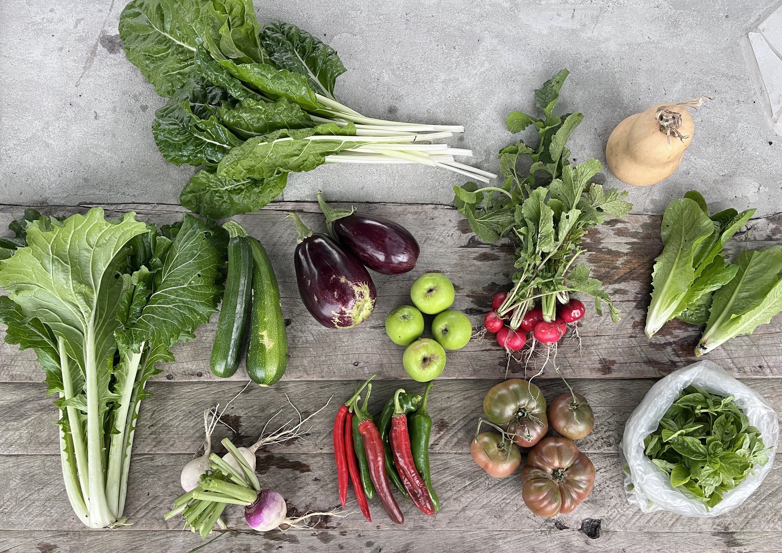 An array of vegetables laid out on a table