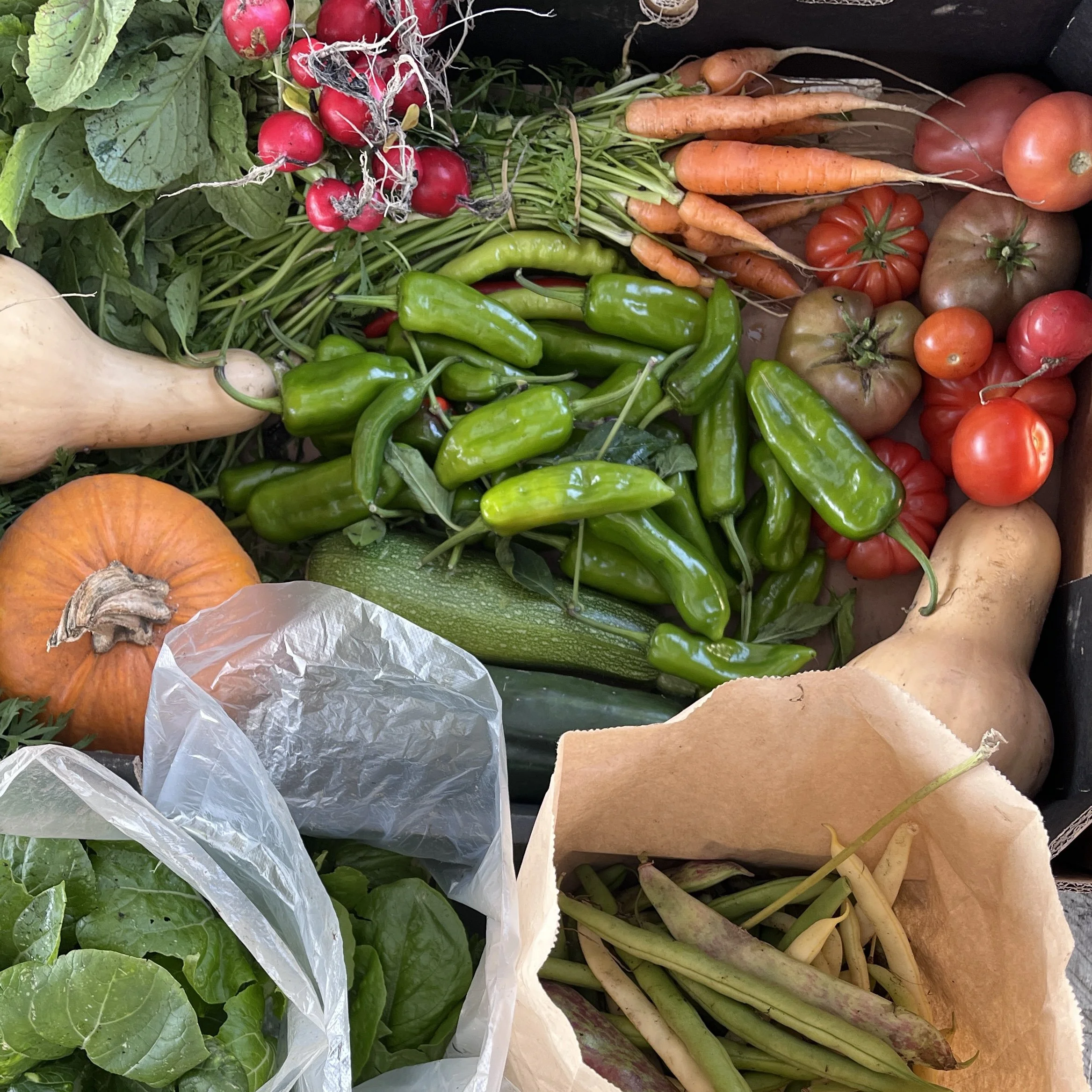 A mixture of vegetables