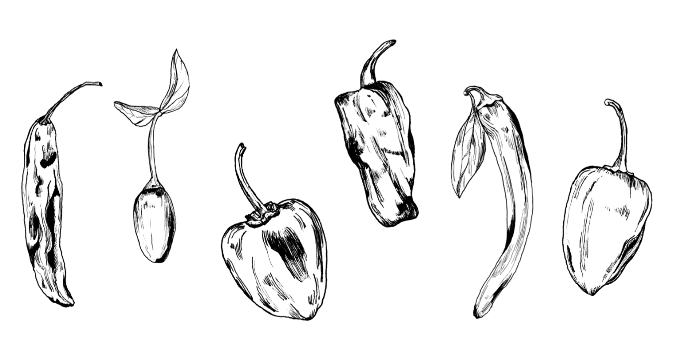 Screen Shot 2018-01-10 at 9.47.39 PM.png