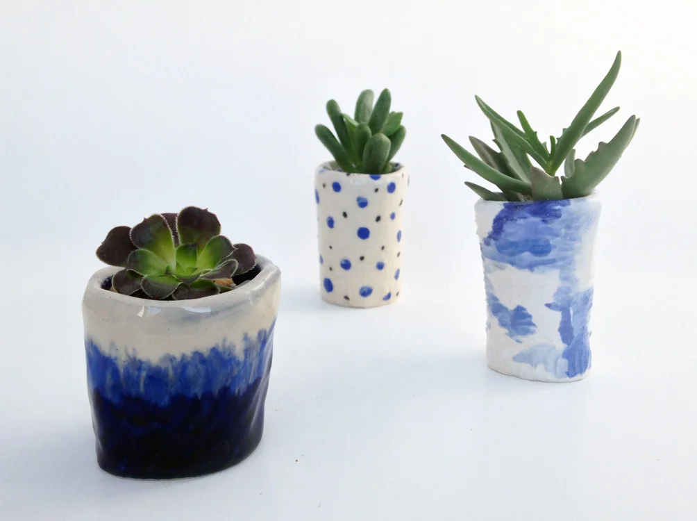 plants.jpg