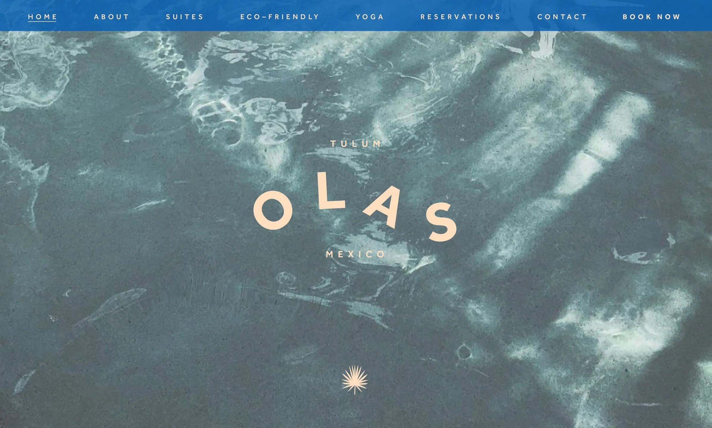 Olas_Logo_3-07.jpg