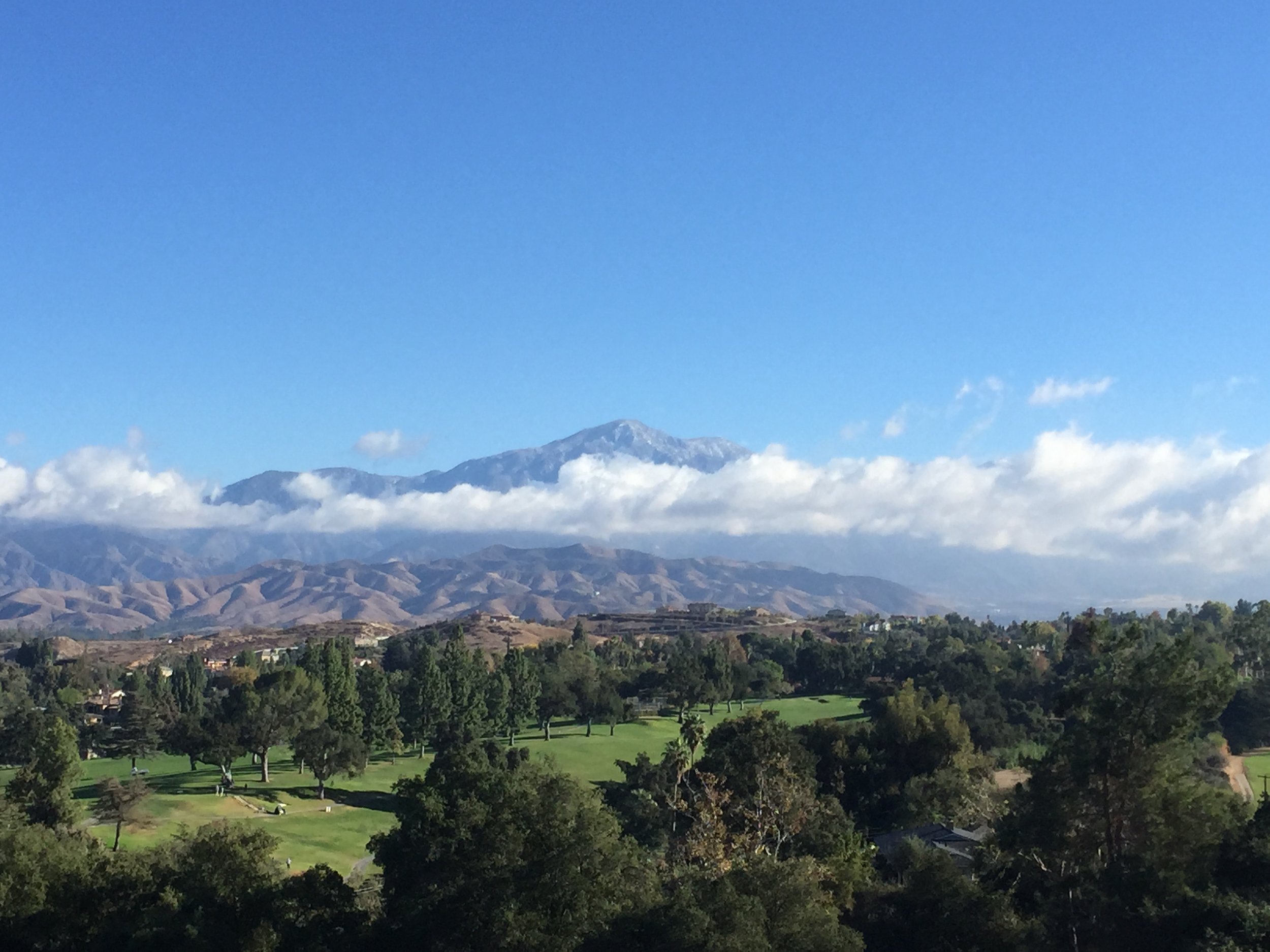 Redlands View - banner.JPG