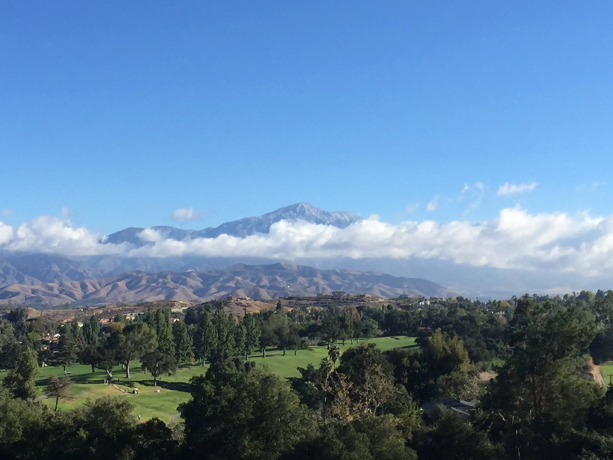 Redlands View - banner.JPG