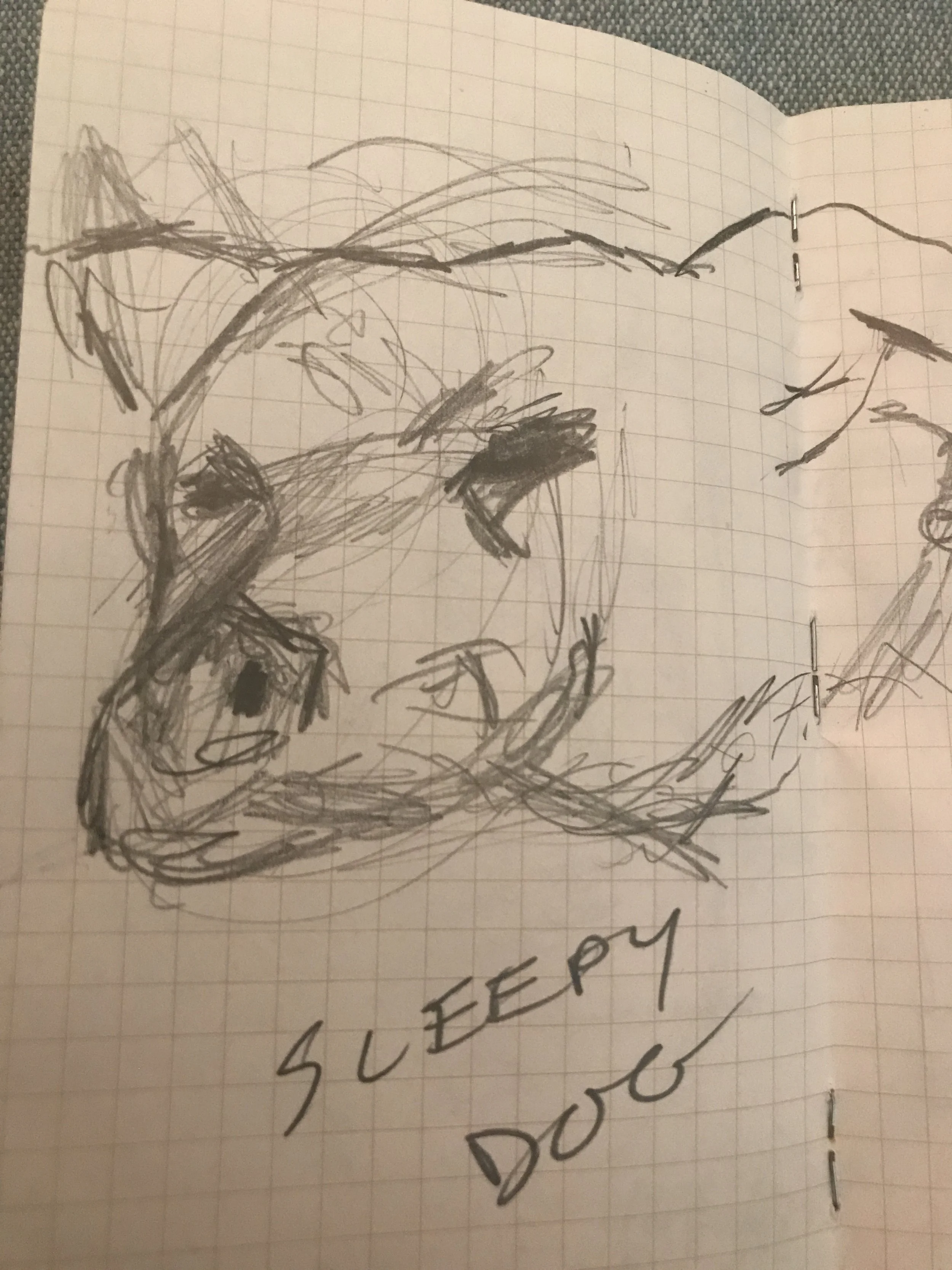 Episode 16: The Dali Straw Man