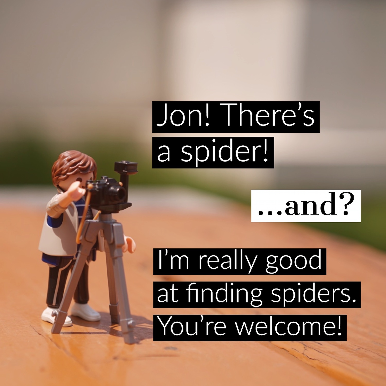 found a spider.jpg