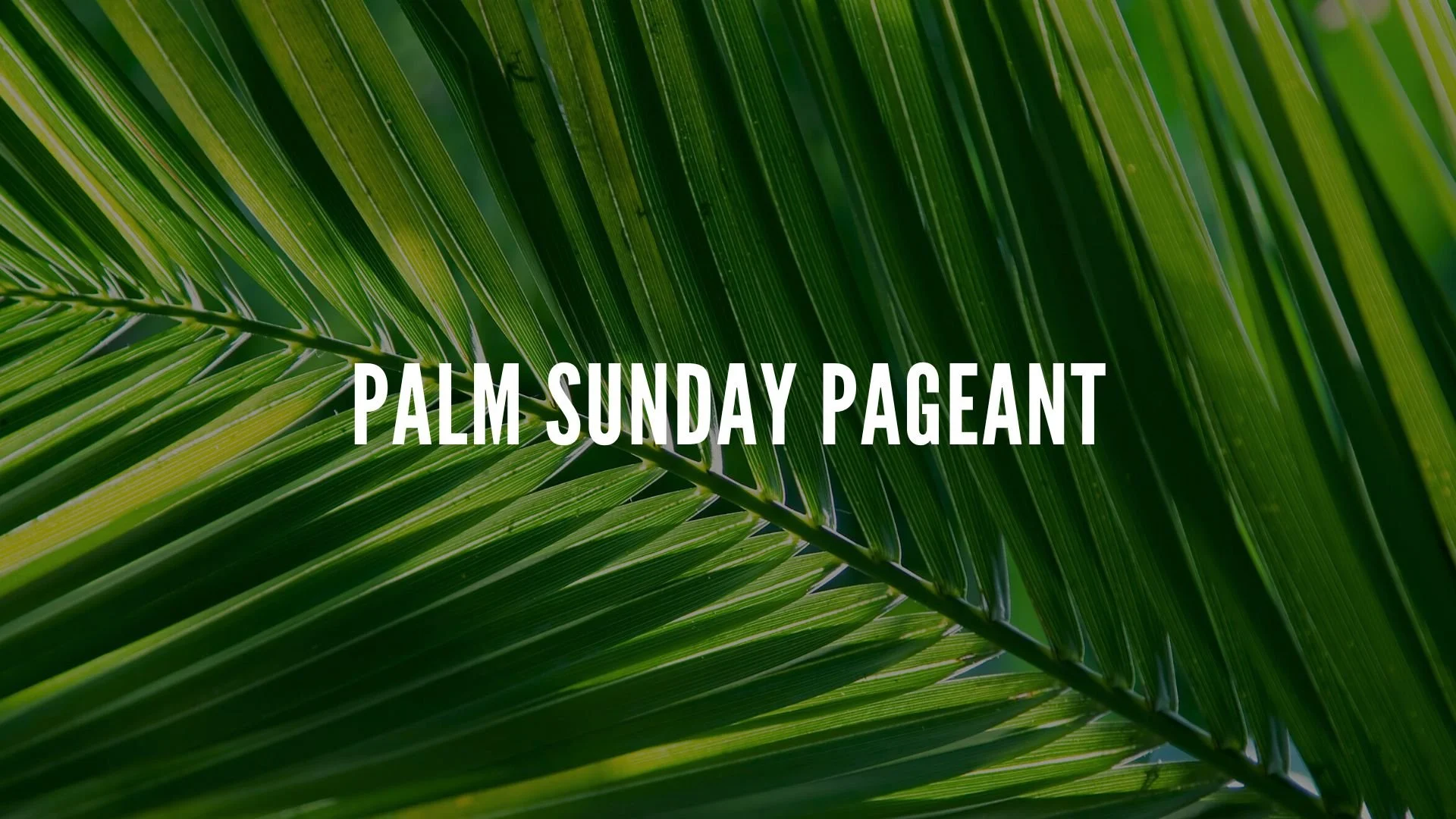 Palm Sunday Pageant 