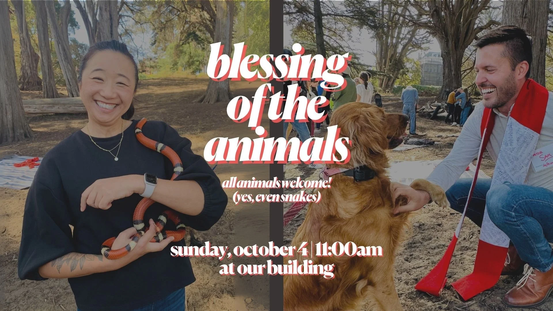 Blessing of the Animals