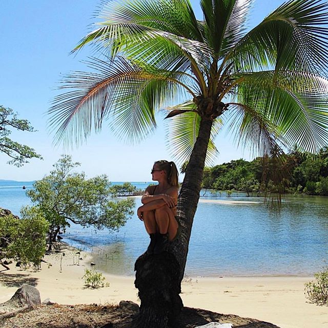 Suns out 🌞🌴✌🏼
#portdouglas #summer #canigetanamen 📸 @lottelx