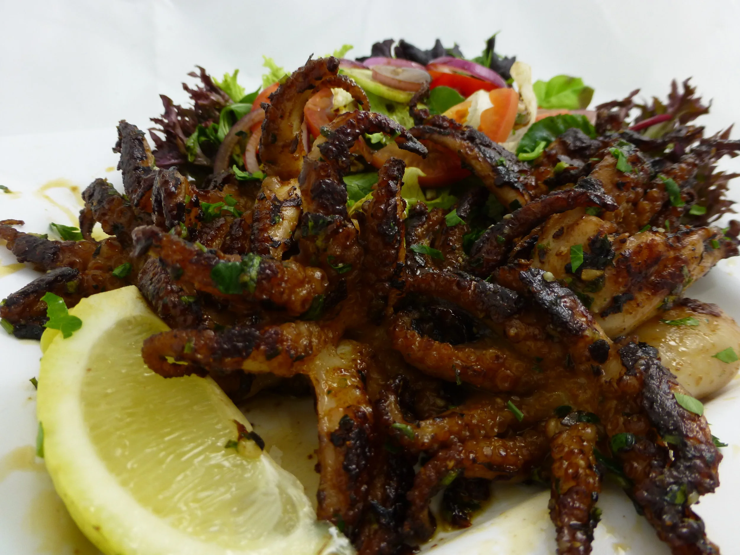 BBQ Baby Octopus and Salad