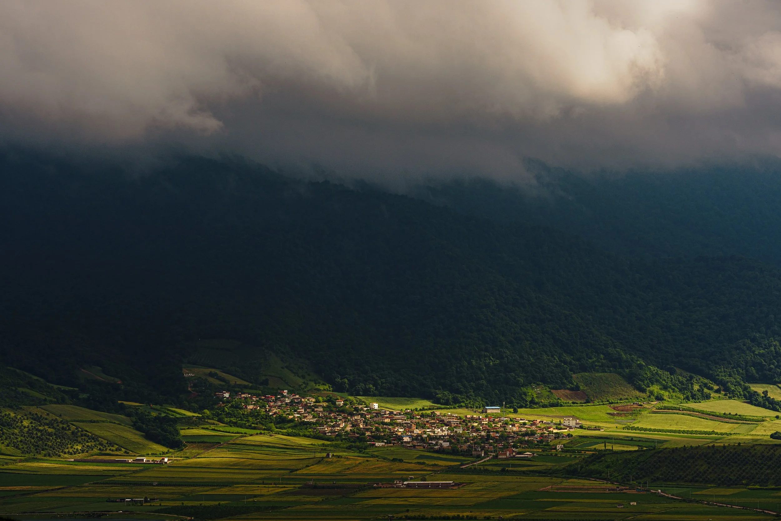 AmirAzari-LANDSCAPE-11.jpg