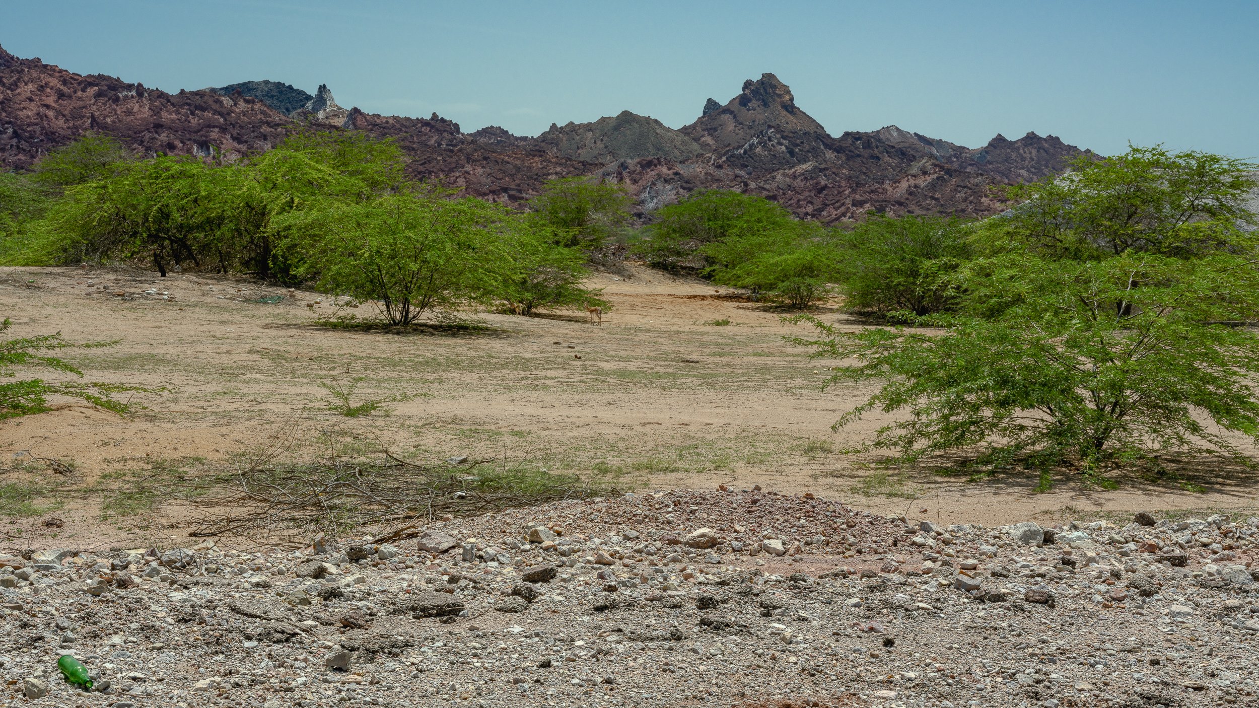 AmirAzari-ExternalIran-Qeshm-Portrait-14.jpg