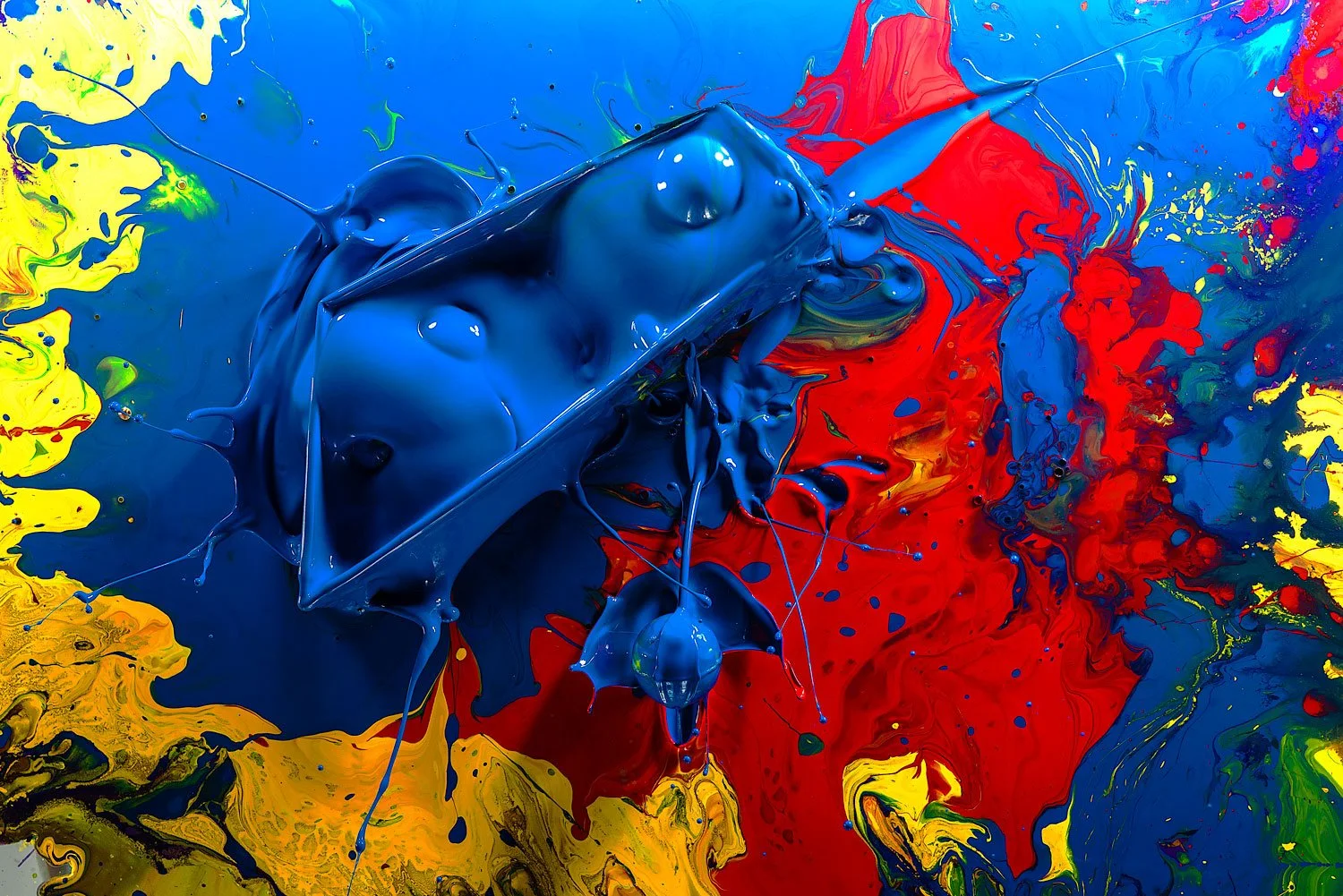 Fish0329.jpg