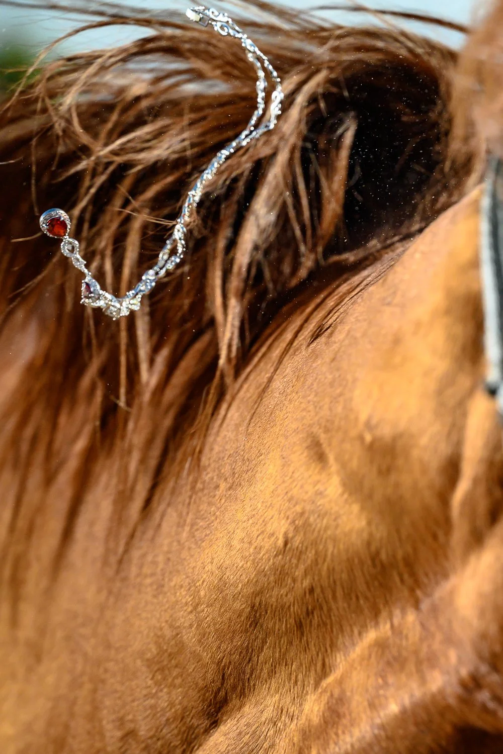 Jew-LS-29.jpg