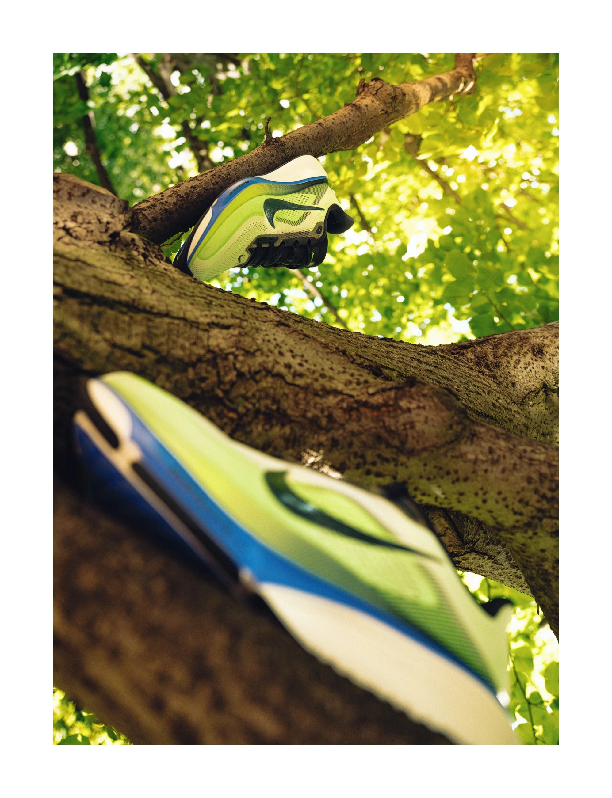Nike-Tree Page 3.jpg