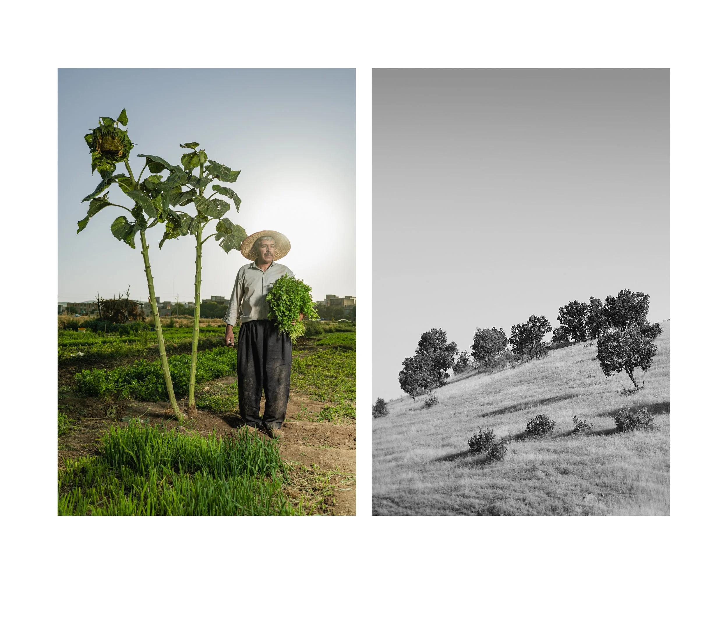 Kurdestan Page 1.jpg