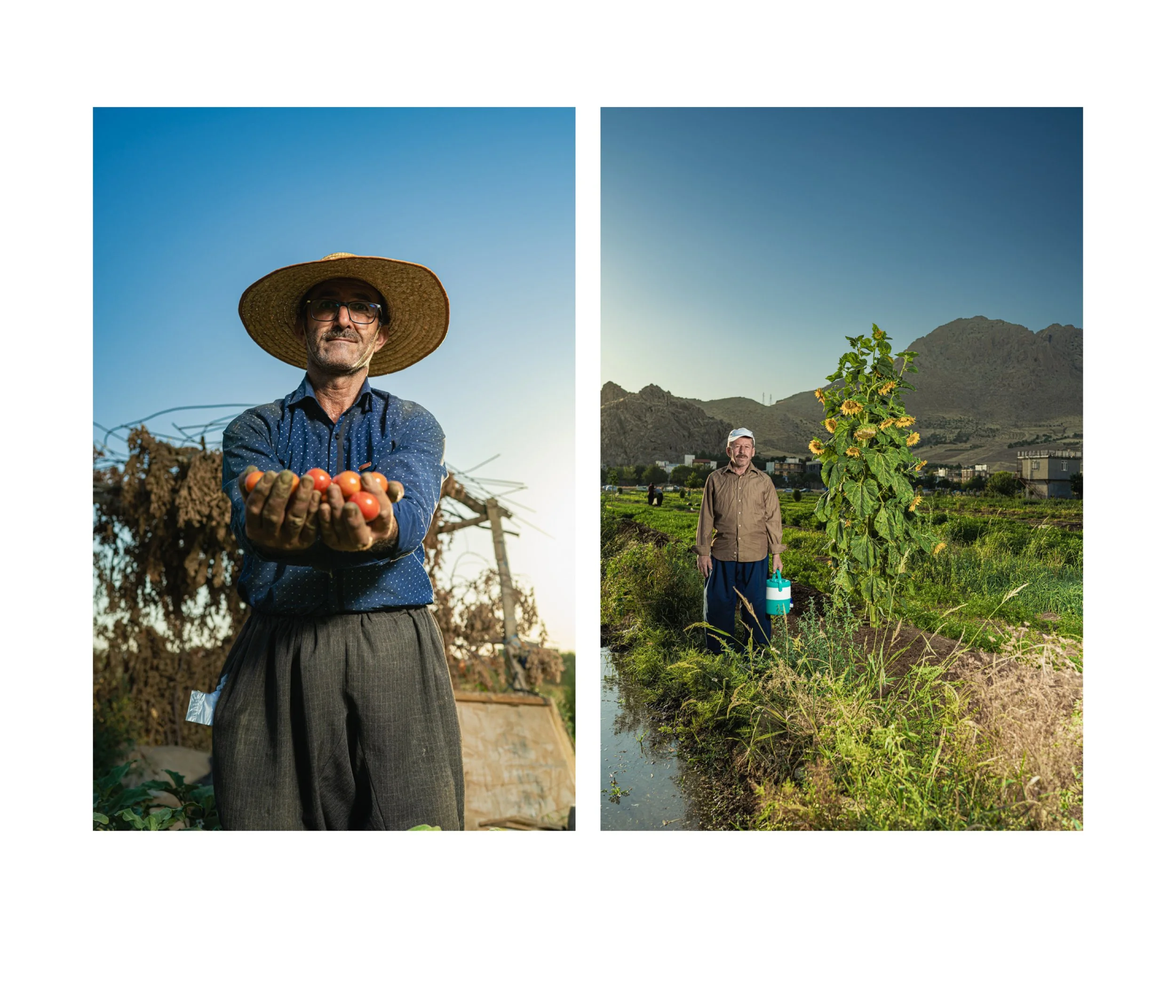 Kurdestan Page 5 Page 1.jpg