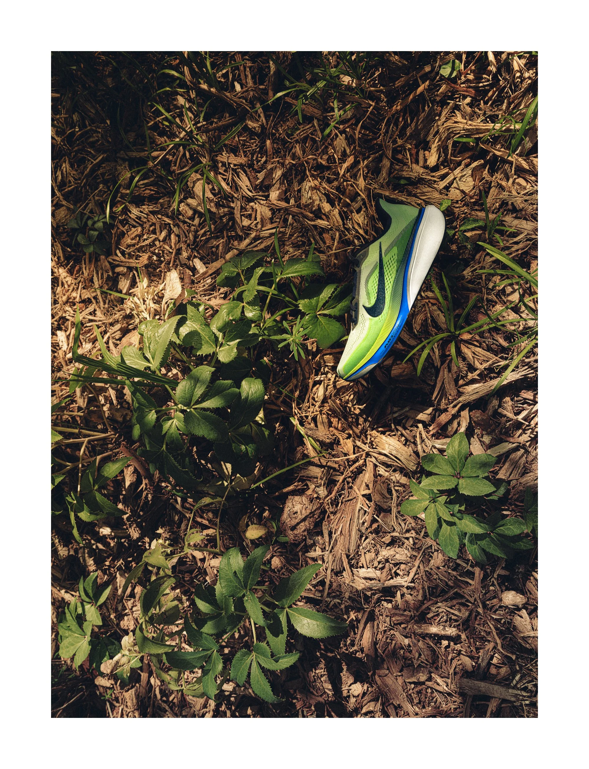 Nike-Tree Page 1.jpg