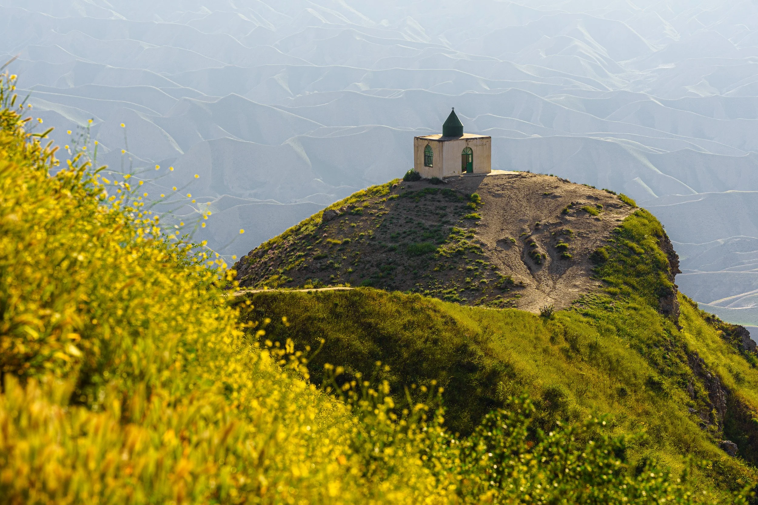 AmirAzari-LANDSCAPE-18.jpg