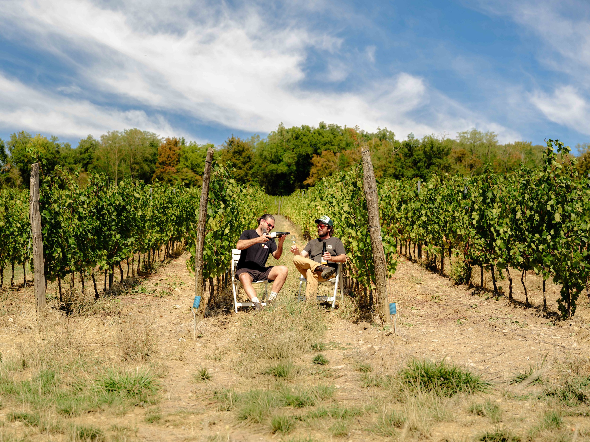 AmirAzari-nouveaurichewine-6.jpg