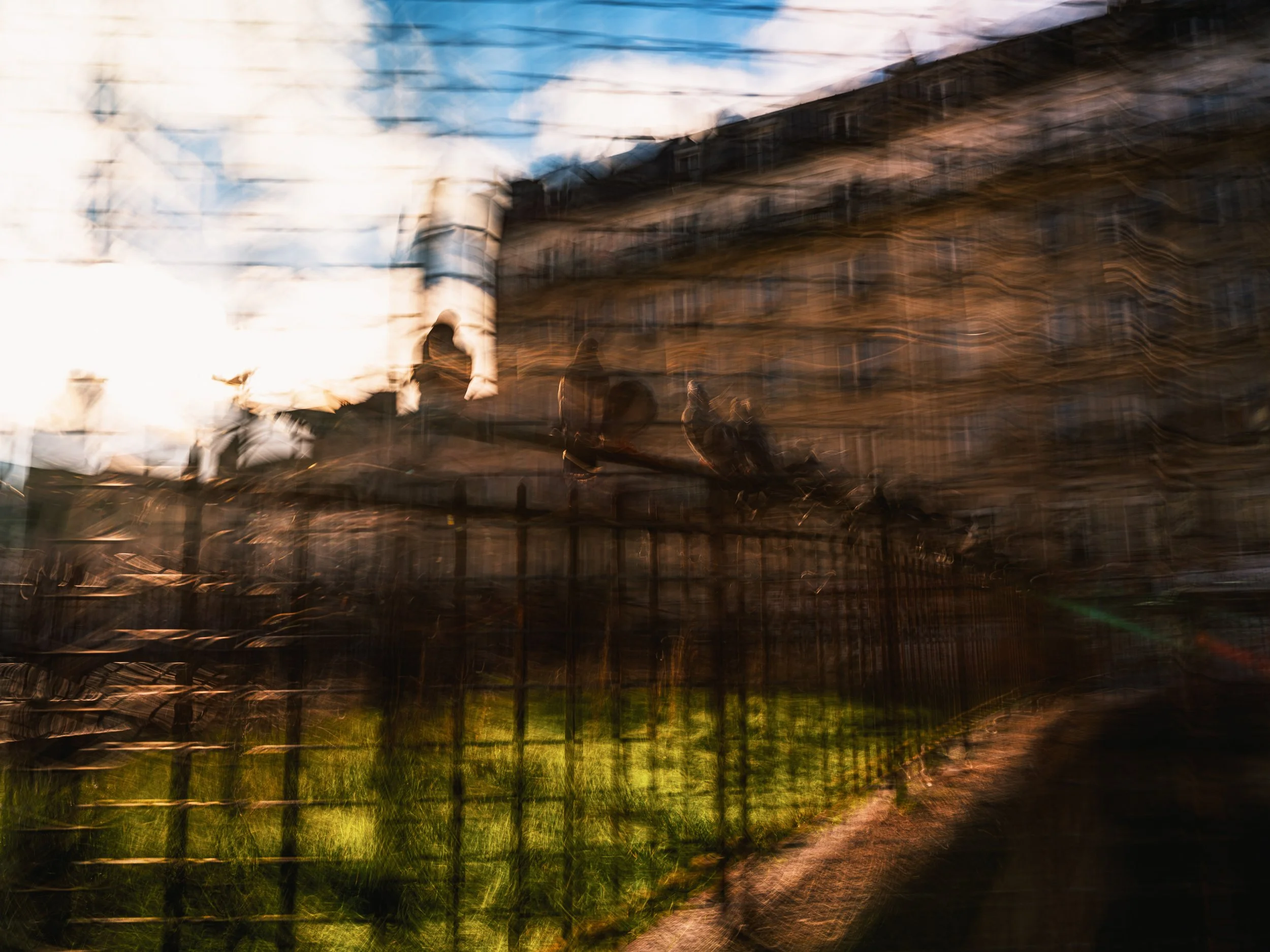 AmirAzari-PERSONAL-ICM-SITE-2474.jpg