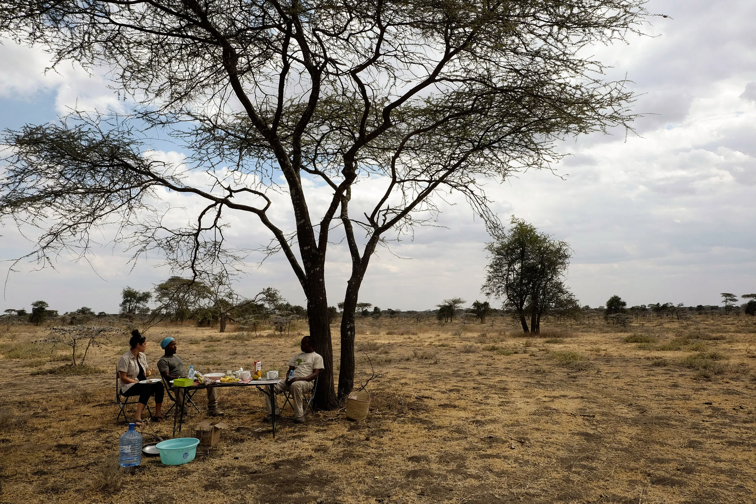 Budget_Safaris.jpg