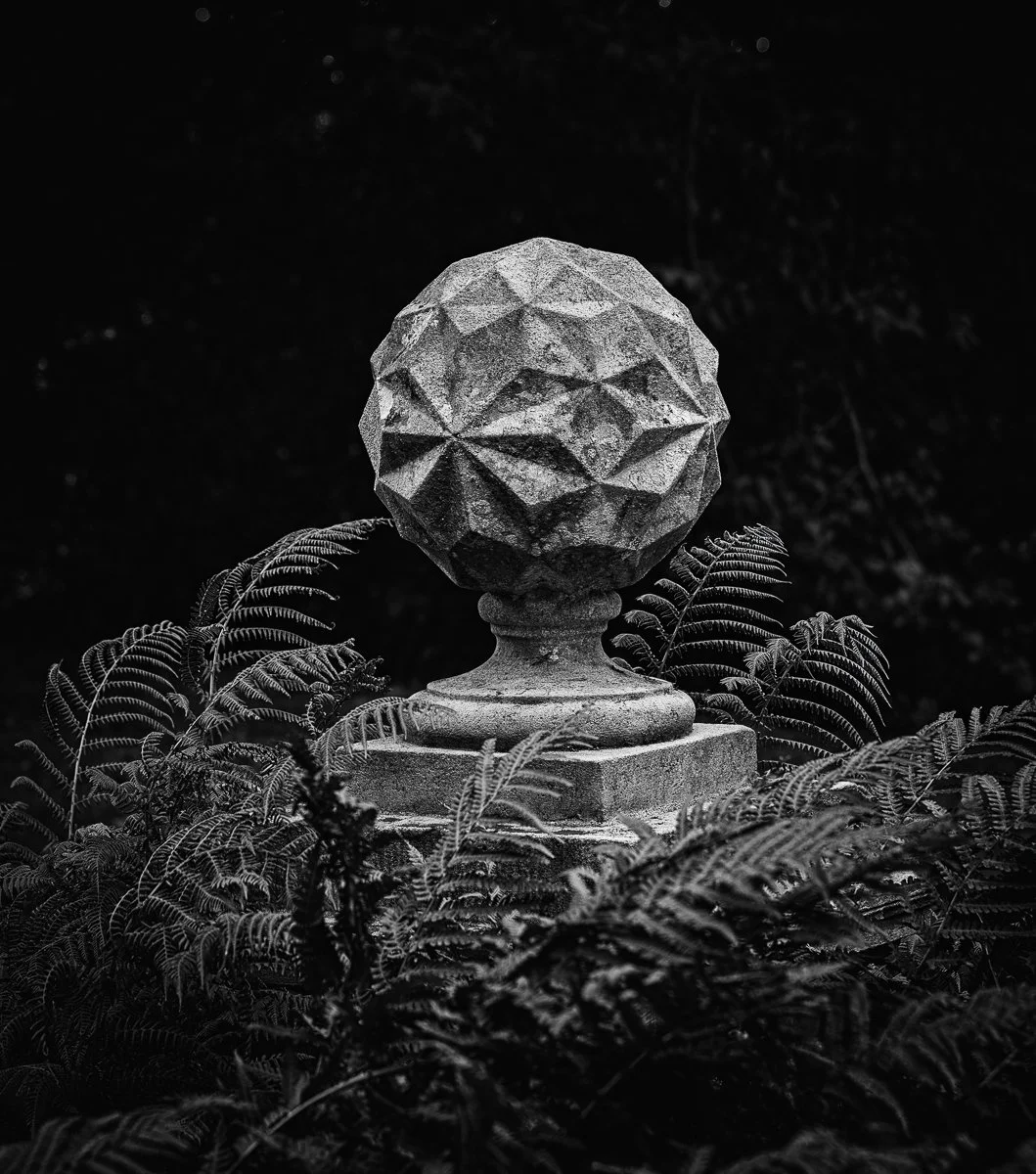 Stone and Fern