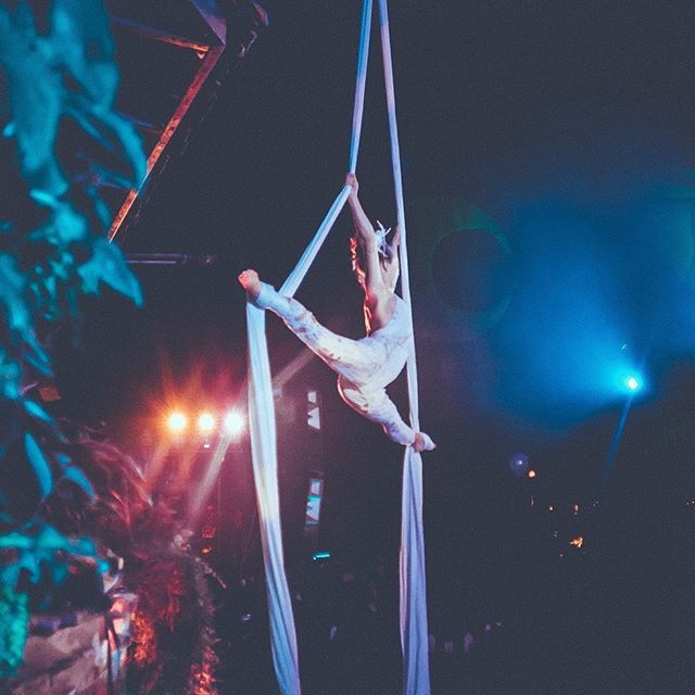 Hey friends! Very excited to debut my new website ✨ Please go take a look if you&rsquo;re inspired! Link in profile.
.
It features this stunning photo by @thirdeyearts of one of my all time favourite performances with @emancipator at @shambhala_mf a 