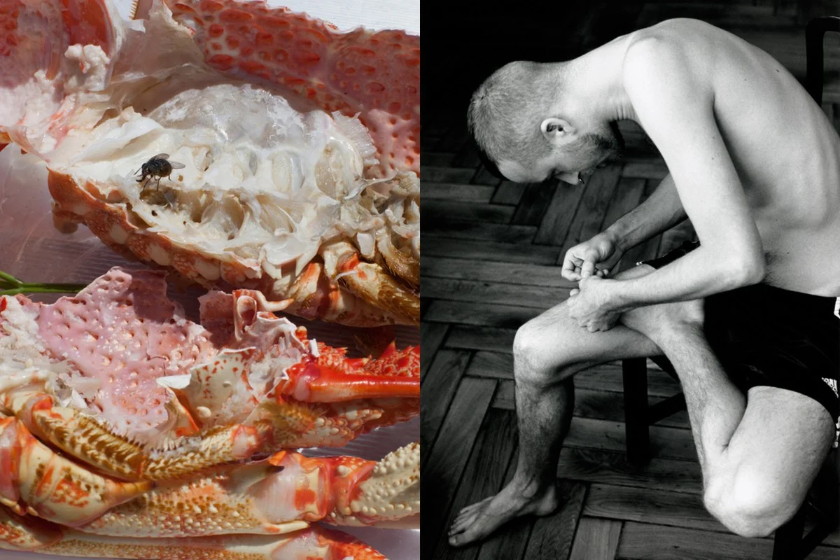 Wolfgang Tillmans se Astro crusto en Anders pulling splinter from his foot .