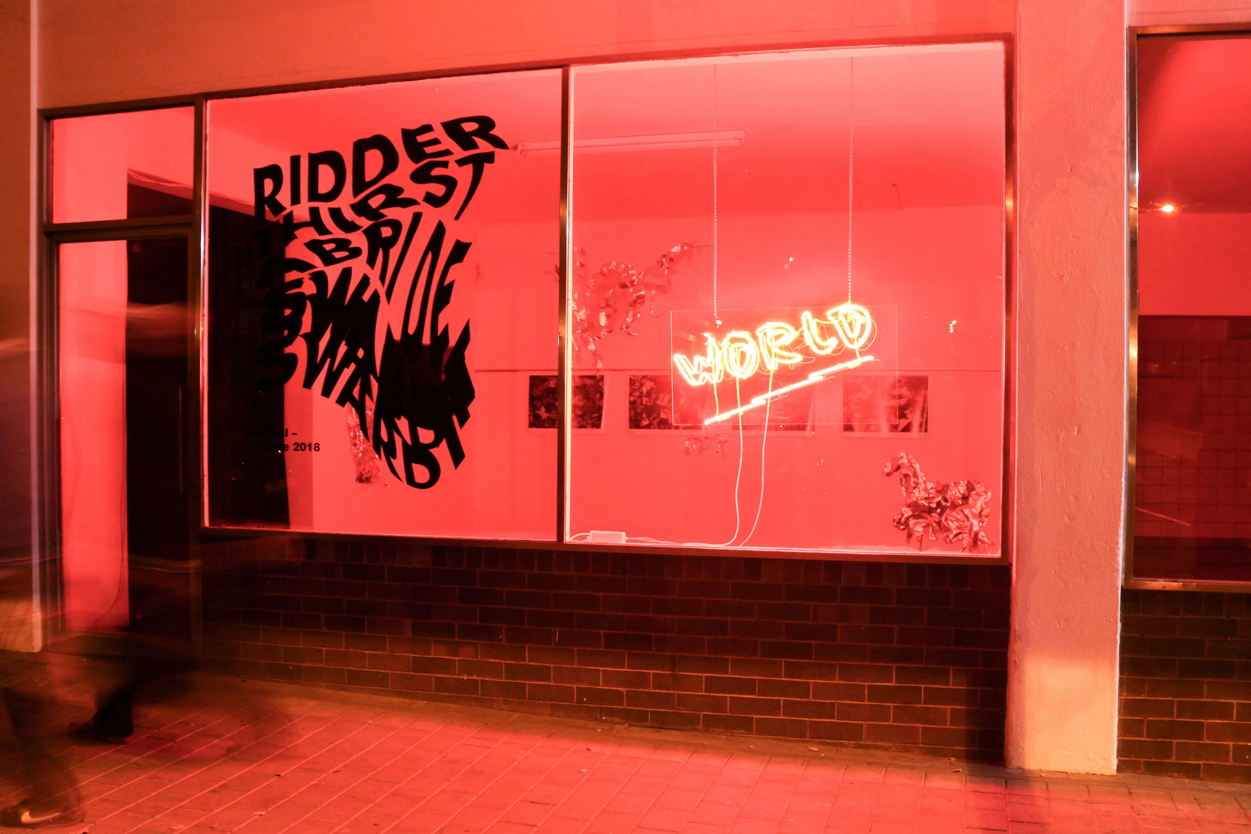 Ridder Thirst , installation view by POOL (2018)