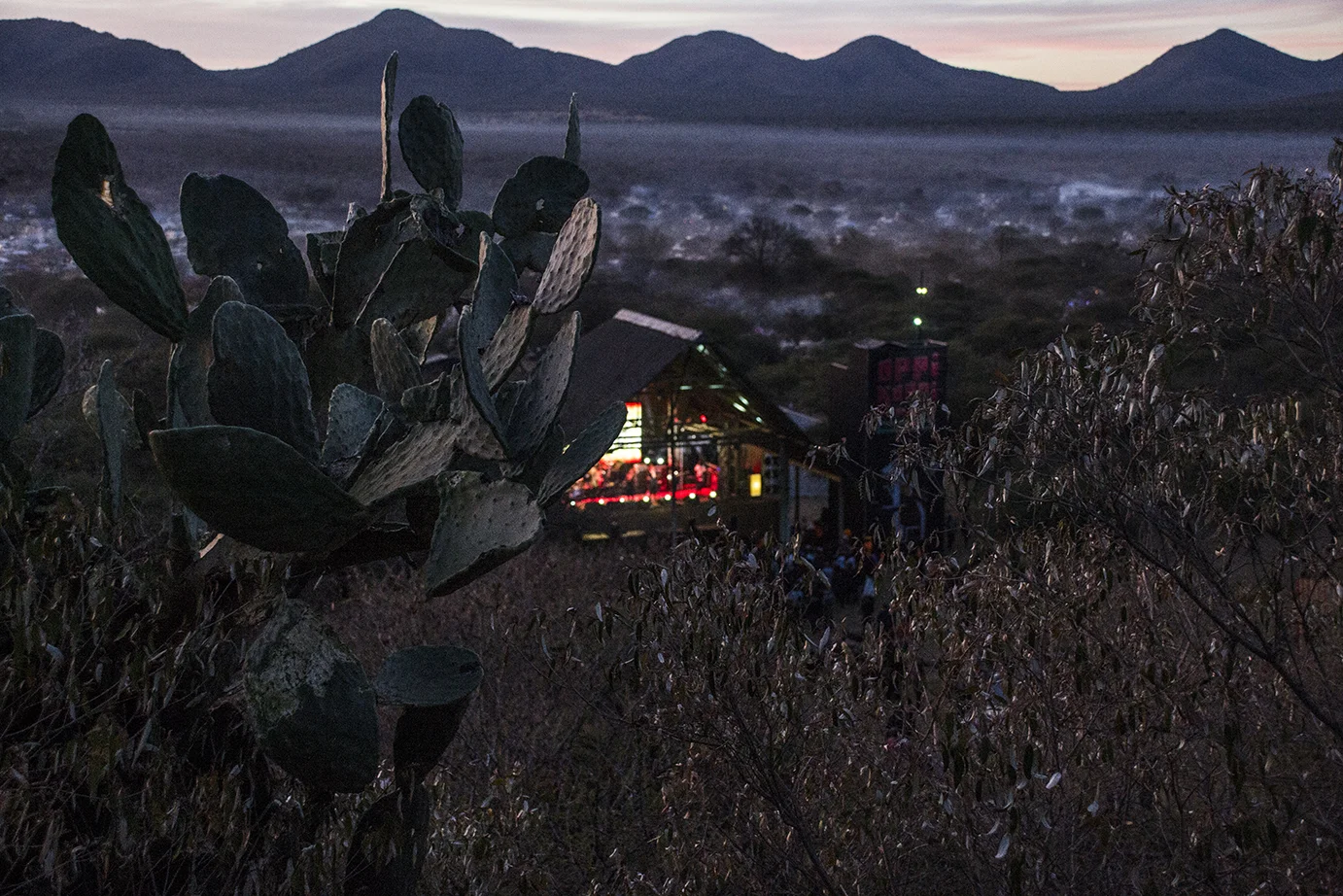 oppikoppi.jpg