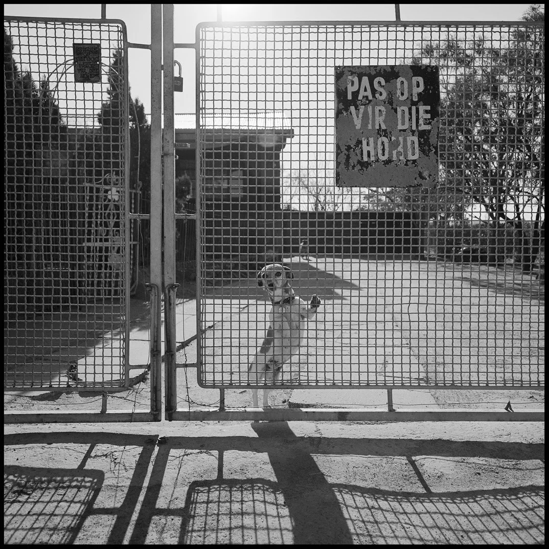 Beware of small dog behind big gate.jpg