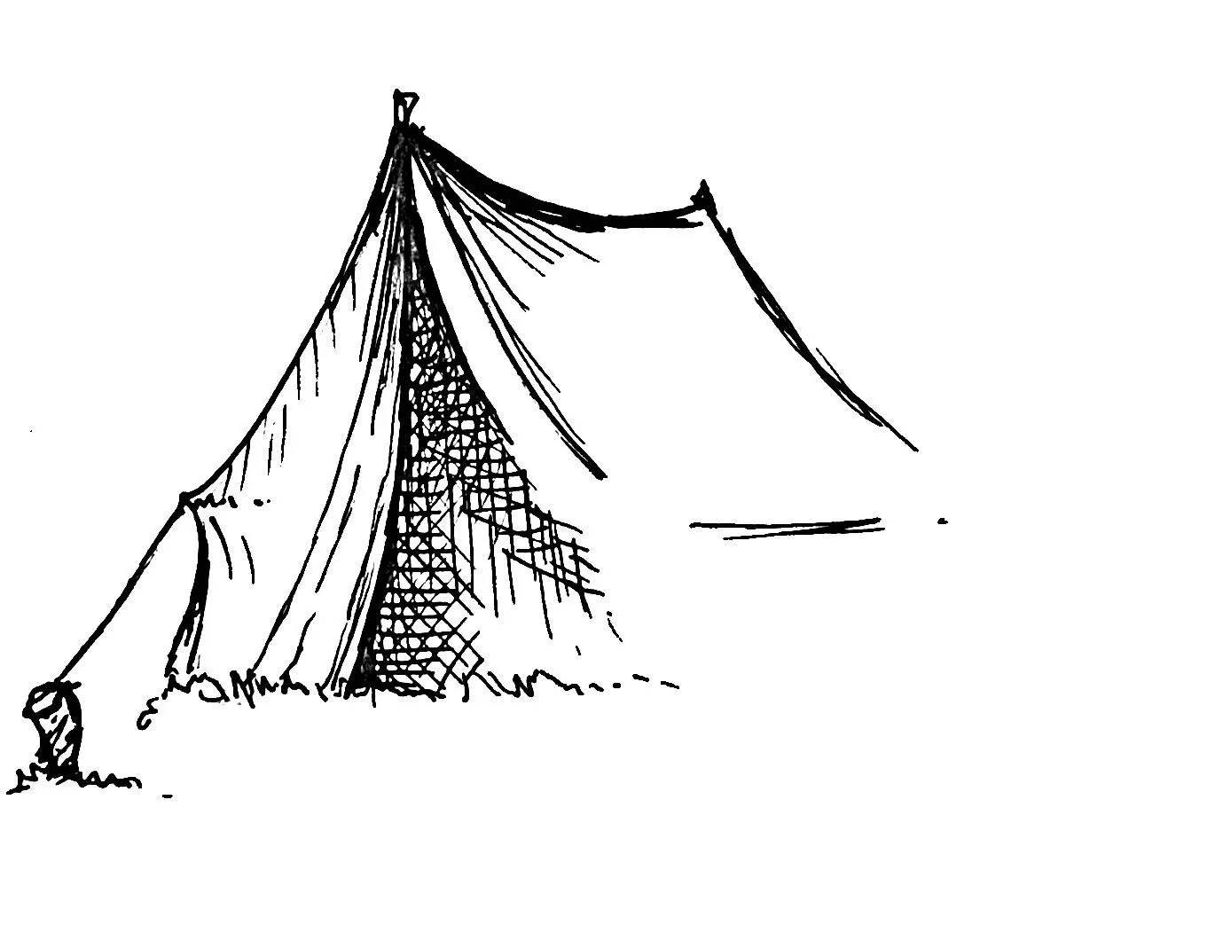 IMG-2503.jpg