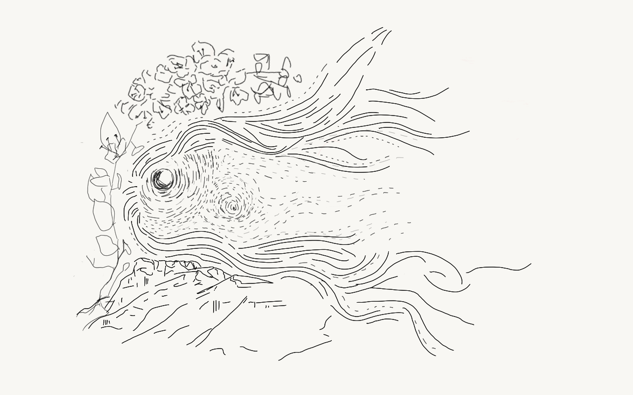 Illustrasie: Carla de Beer