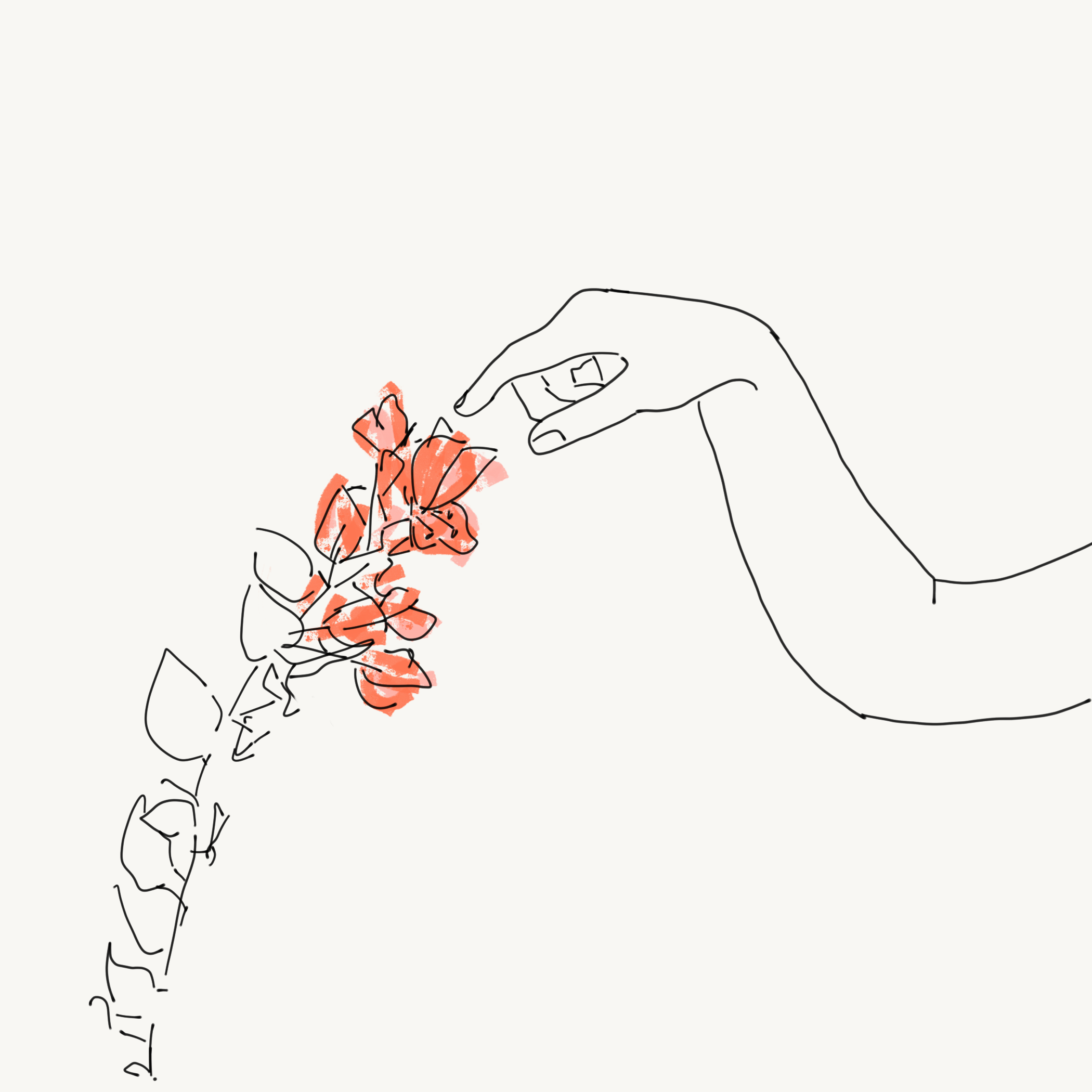 Illustrasie: Carla de Beer