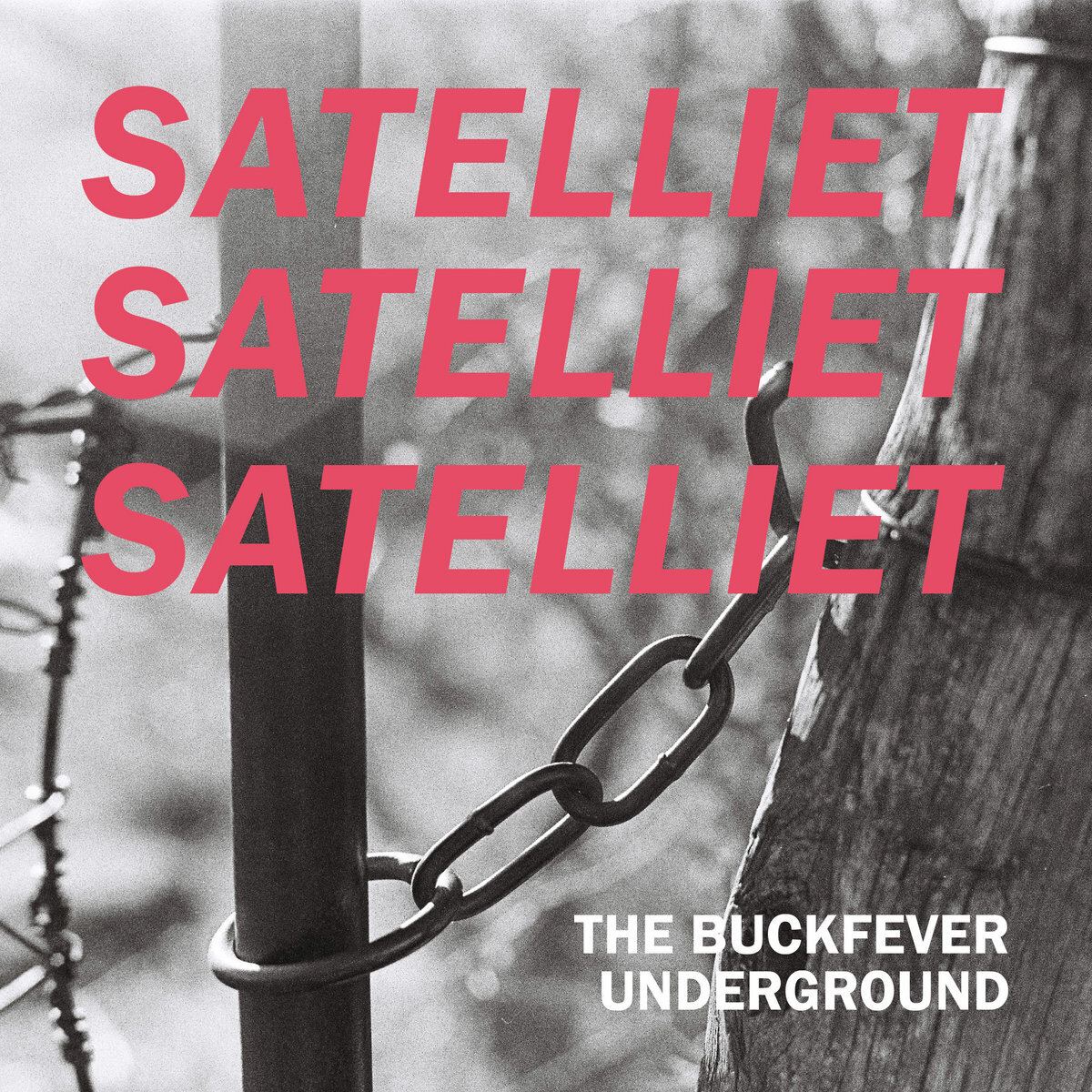 Buckfever+Underground+Satelliet.jpeg