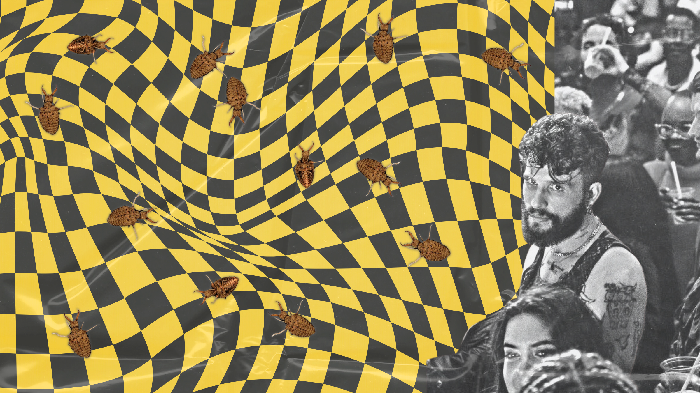 'n Kweer-hollow: besmetting enni underground in Shane van der Hoven se Kruiper-Crawler