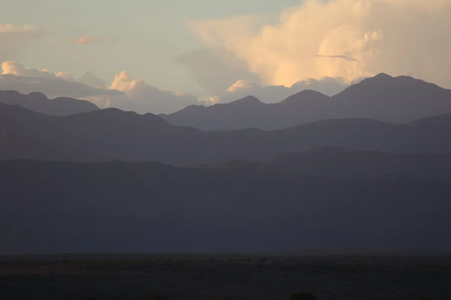 Uitgelate in die Klein Karoo